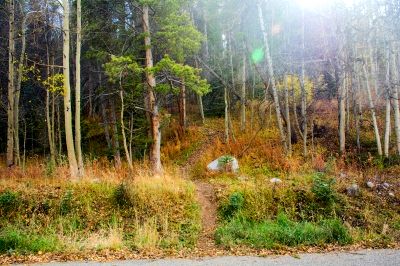 from asgard haus condos several trails lead into national forest